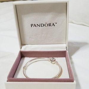 Silver Pandora Bracelet